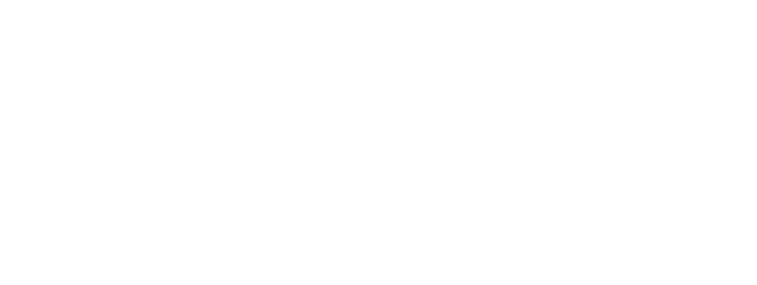 Flyve